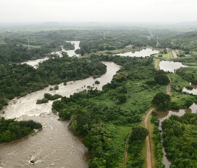 Environmental Policies